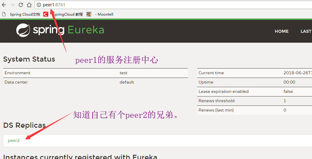 eureka_server_with_peer.png